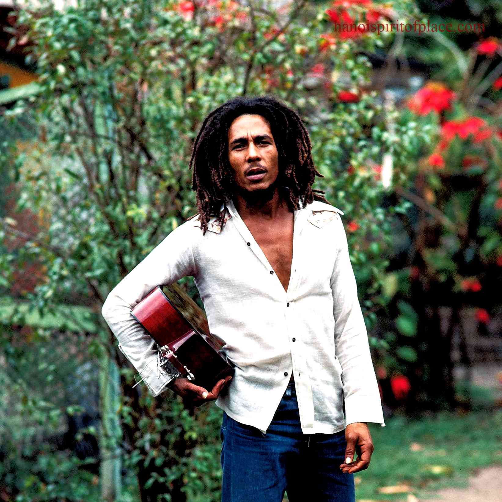Brief background on Bob Marley