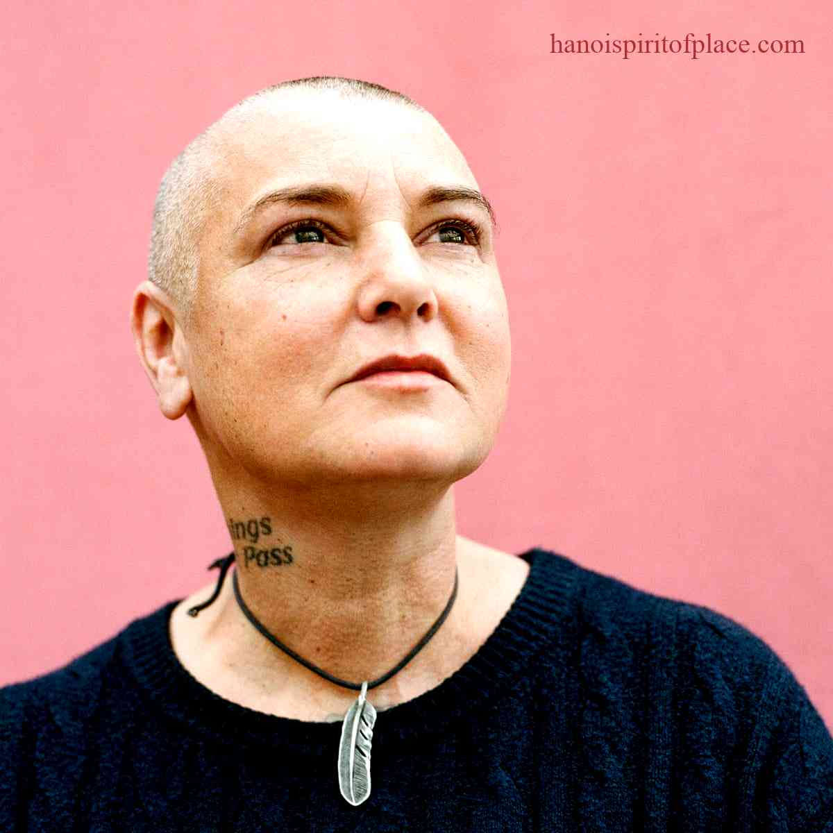 1.1 About Sinead O'Connor