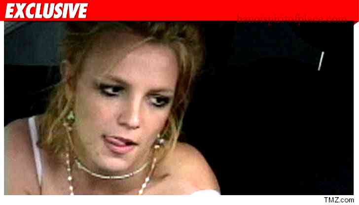 Overview of TMZ Britney Spears Video