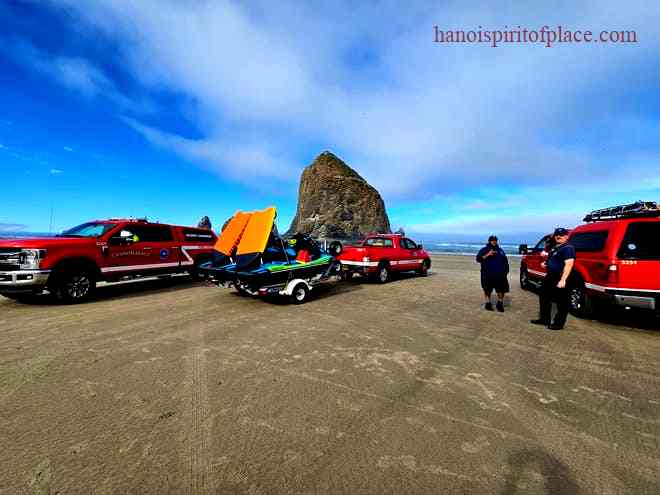 Cannon Beach Cougar Sightings: Untold Wildlife Wonders