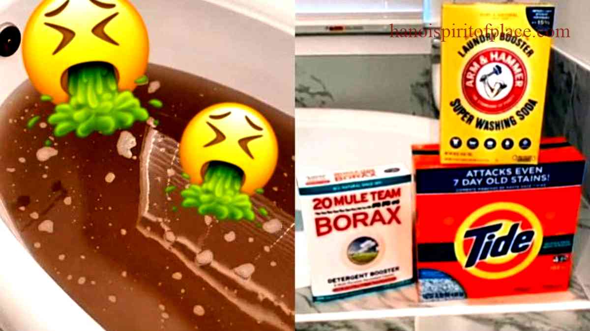 Borax TikTok: Discover the Trending Uses and Safety Tips