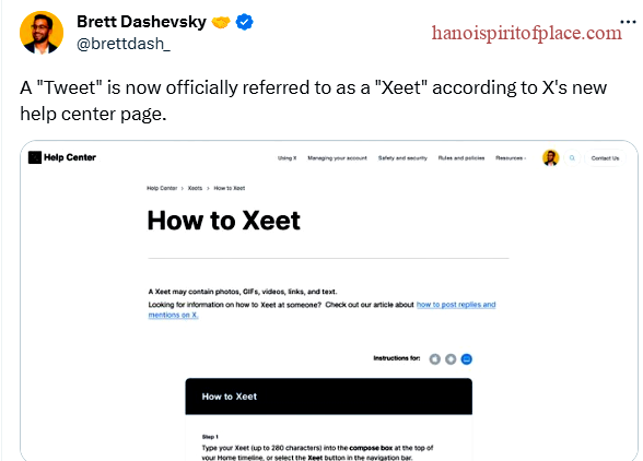 Key Features of Xeet Twitter