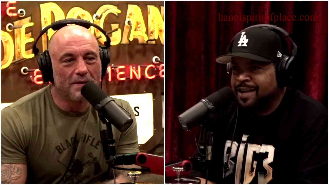 Joe Rogan Ice Cube Dylan Mulvaney: Captivating Conversation