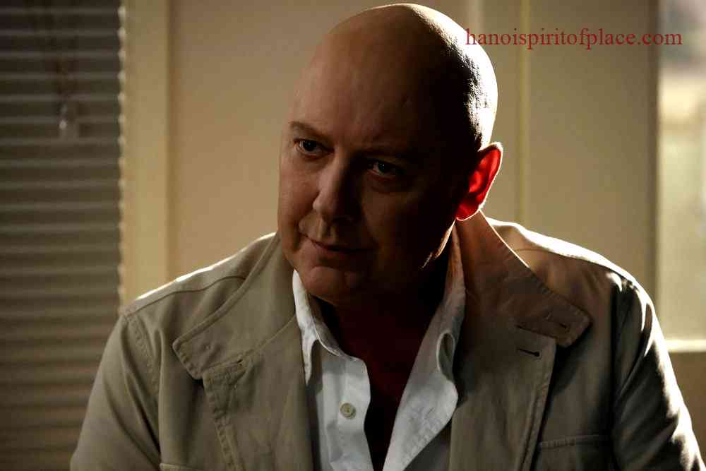 Overview of Raymond Reddington's character and the popular TV show