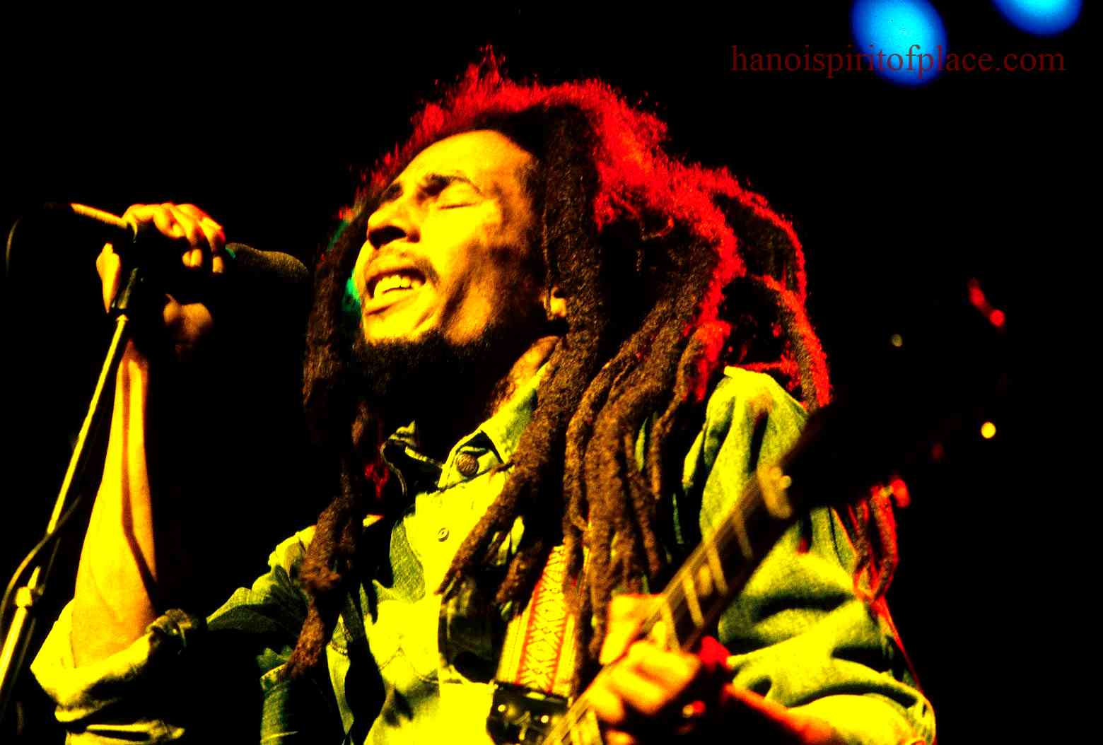 Bob Marley's Life and Career