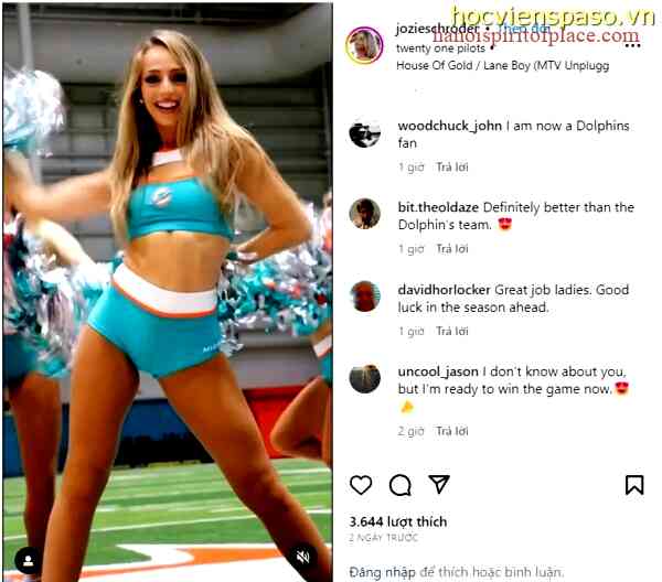 Dolphins cheerleader stunning video – Embracing Grace, Energy, and Elegance