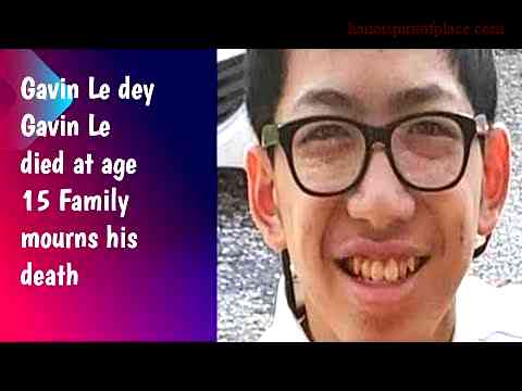 Brief overview of Gavin Le Death