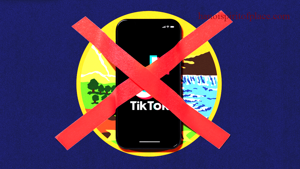 Brief overview of TikTok