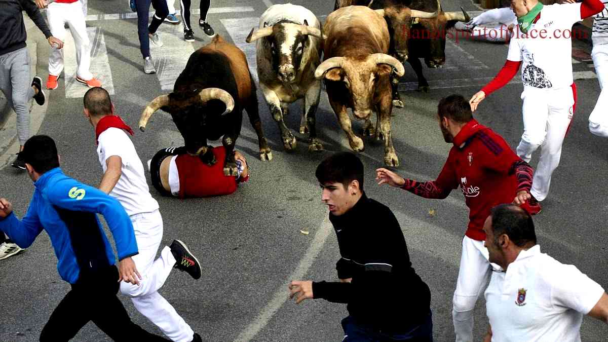 Vive la adrenalina de los encierros desde casa