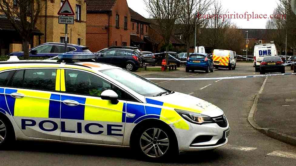 Overview of the stabbing incident in Caversham