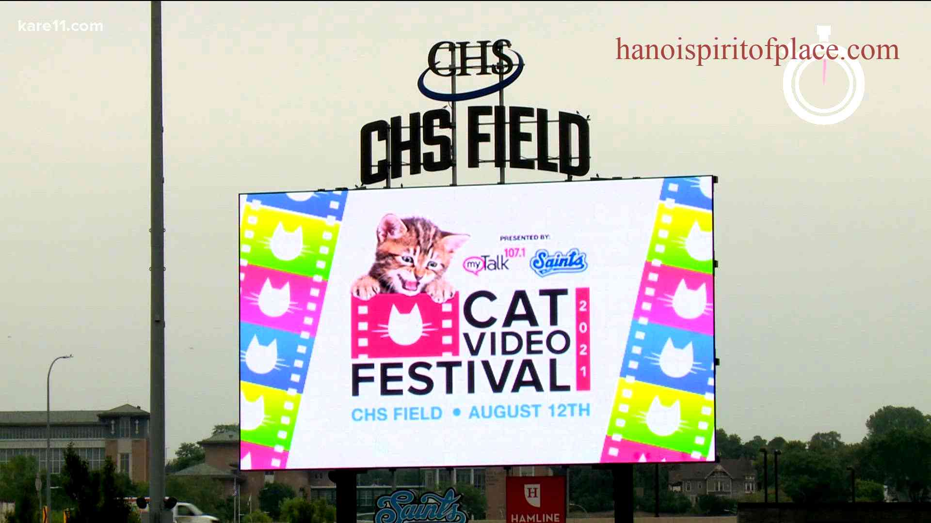 Highly Anticipated Cat Video Festival 2023