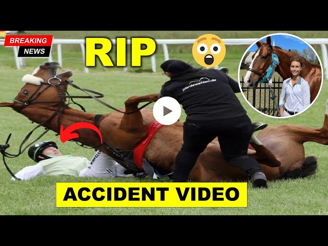 Hannah horse accident reddit