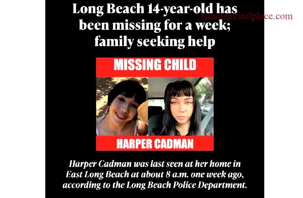 Harper Cadman Missing – Urgent Search Updates and Latest News Revealed