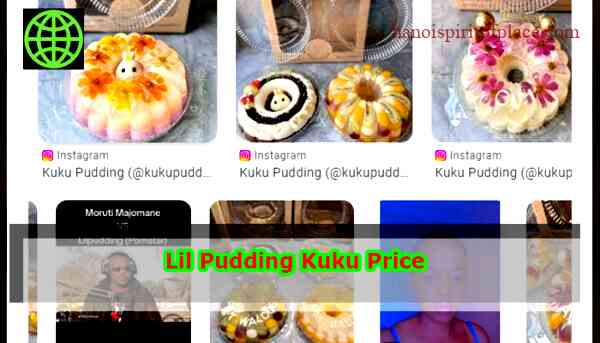 1.1 What is Lil Pudding Kuku?