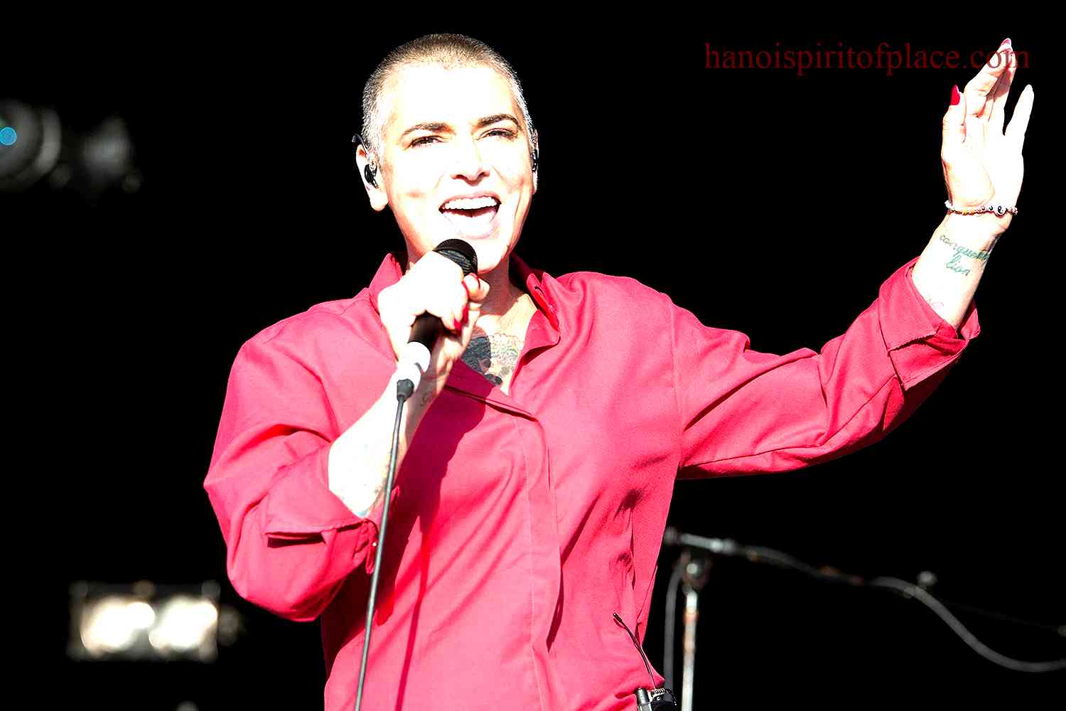 Brief overview of Sinead O'Connor's life and career