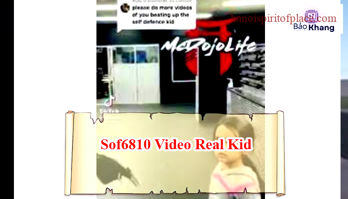 Overview of the SOF6810 Video Real Kid 19