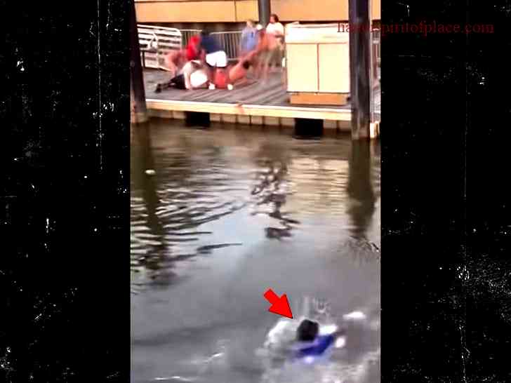 Exploring the Epic Montgomery Riverboat Fight Video