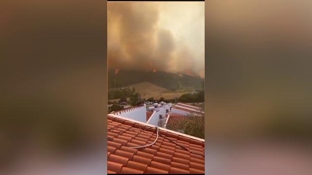 fuoco in sardegna oggi video