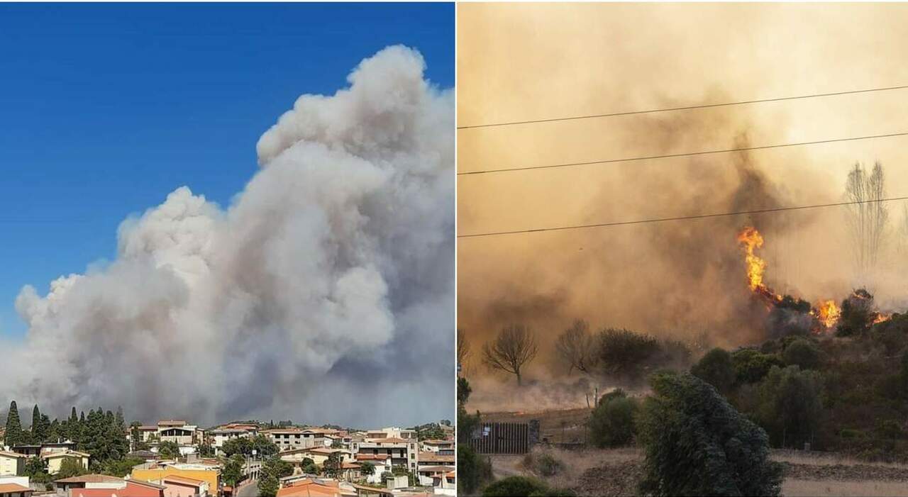 fuoco in sardegna oggi video