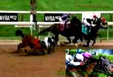 Saratoga Horse Accident Today Video – Shocking