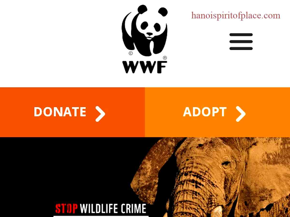 Implications of the World Wildlife Fund Scandal: Ethical, Legal, and Environmental Consequences