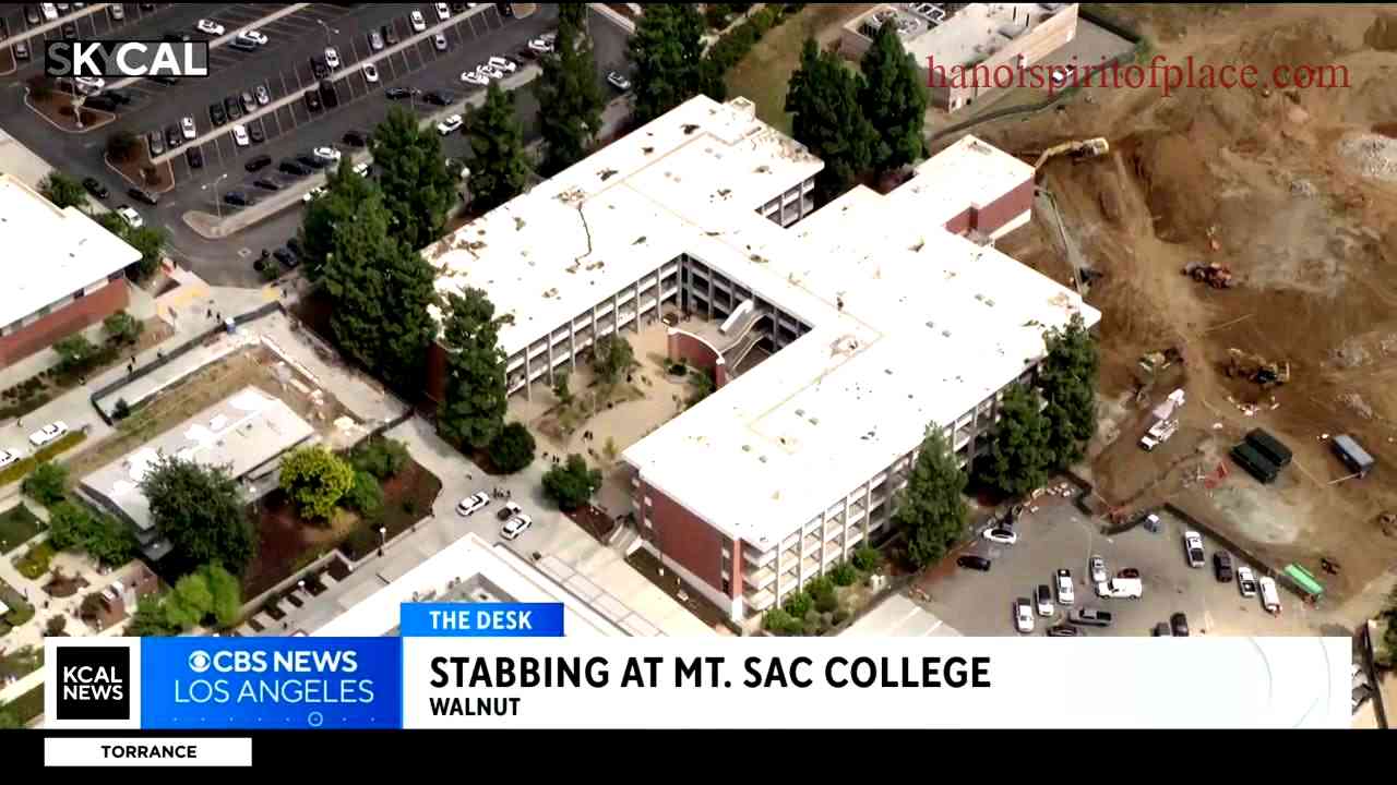 Breaking News – Latest Update Mt SAC Stabbing Today