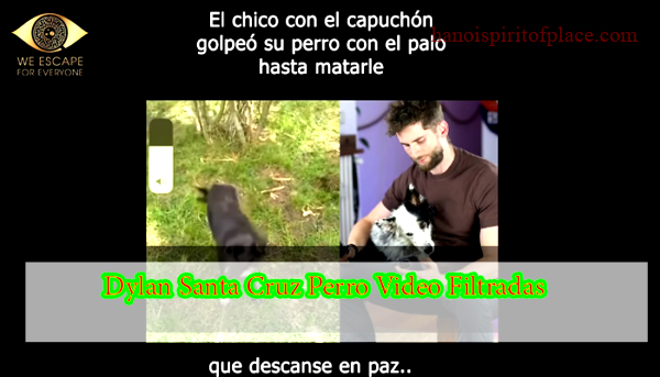 El impactante video de Dylan Santa Cruz y su perro