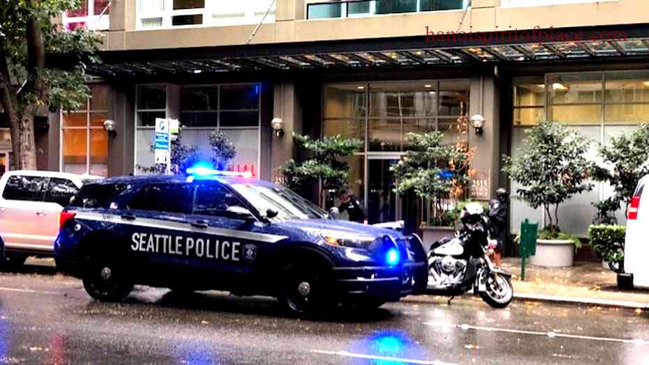 Unveiling the Recent Belltown Stabbing Incident