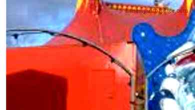 Accident Cirque Willie Zavatta – Découvrez les détails