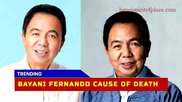 The Life and Legacy of Bayani Fernando