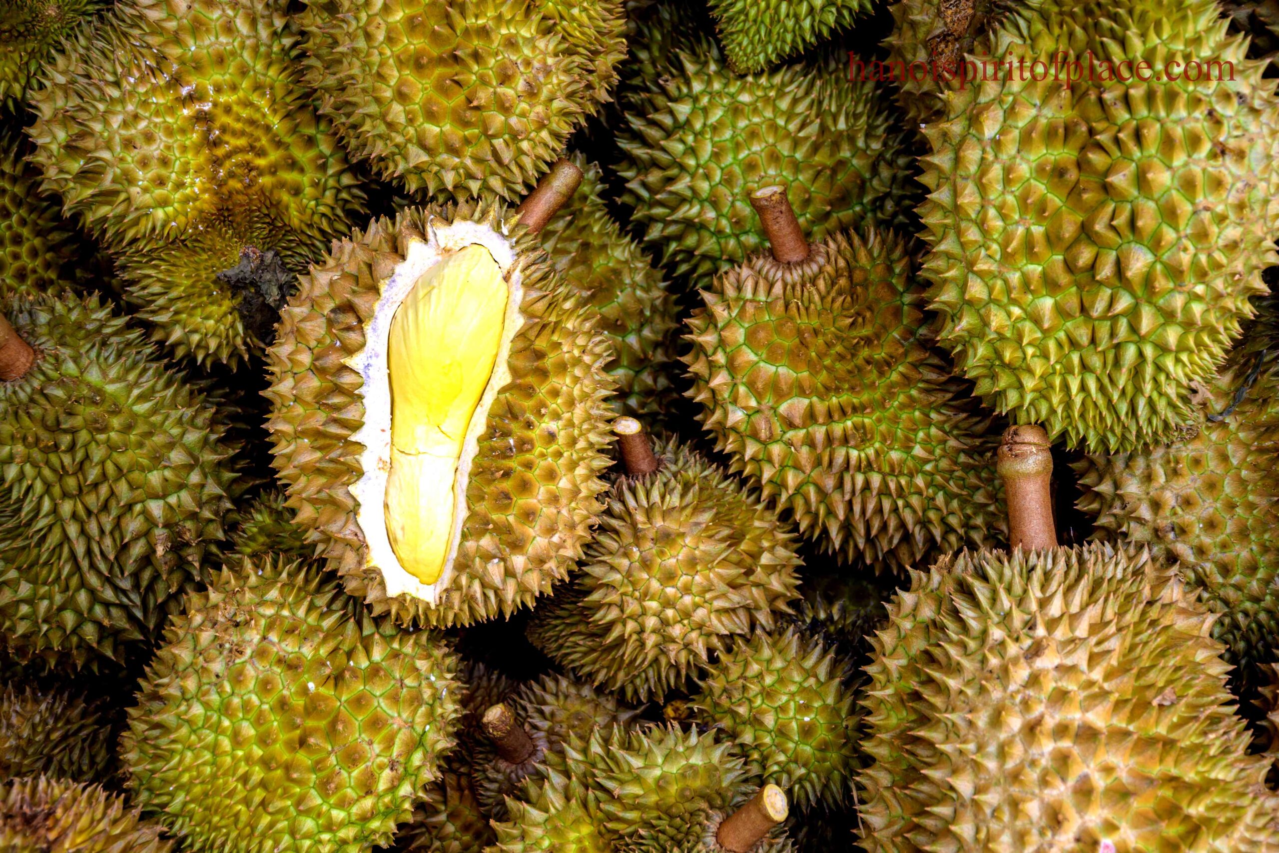 Durian Incident Video Sparks Controversy and Viral Outrage