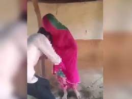 Dhariyawad Pratapgarh Viral Video – Latest Online Craze