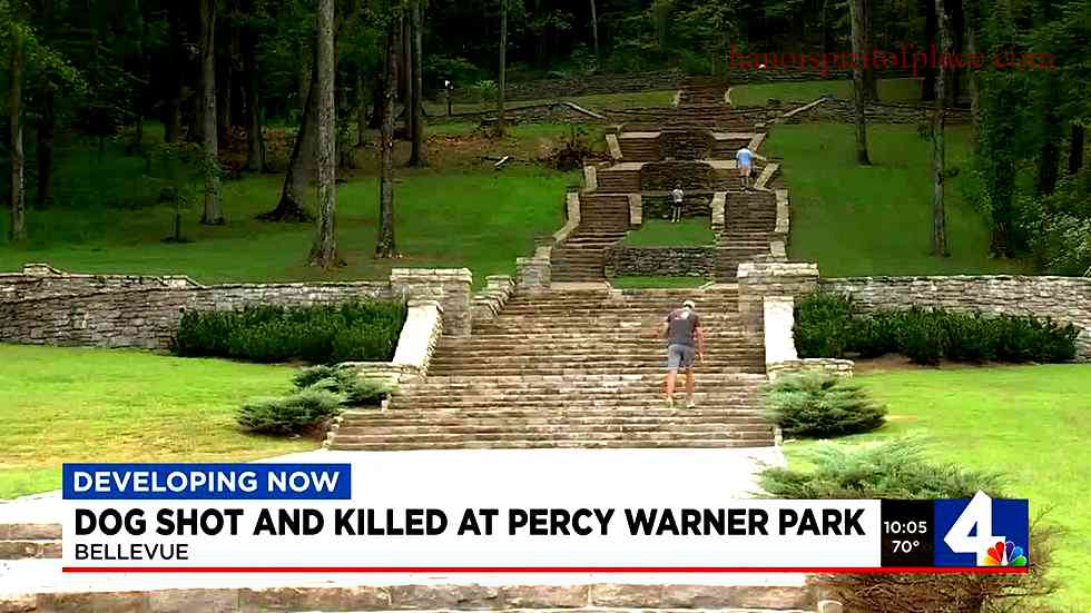 Percy Warner Park Shooting – Update, Investigation Detail