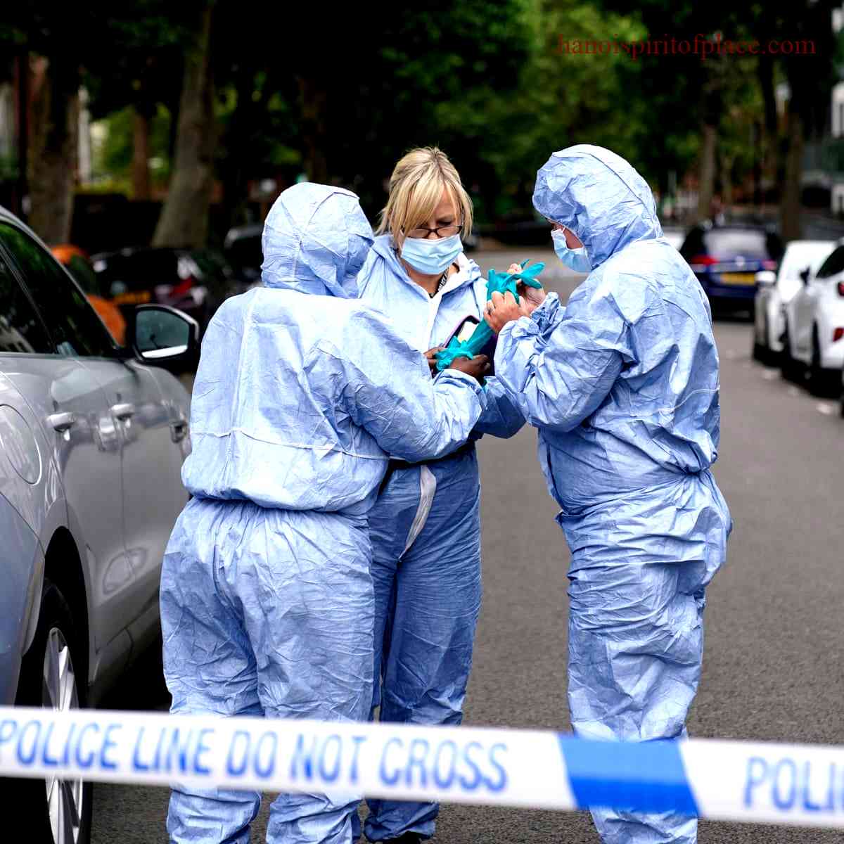 Stabbing in North London: Key Insights and Updates