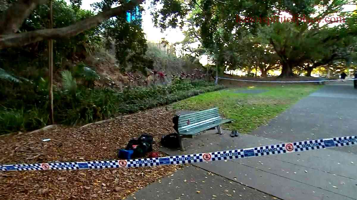 Kelvin Grove Stabbing – Key Details, Local Reactions