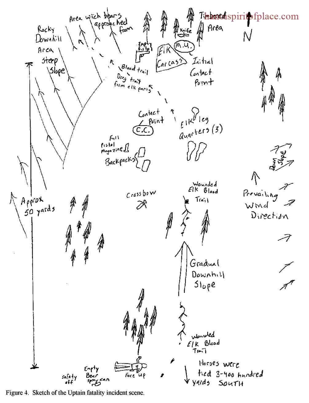 The Life and Tragic Death of Timothy Treadwell