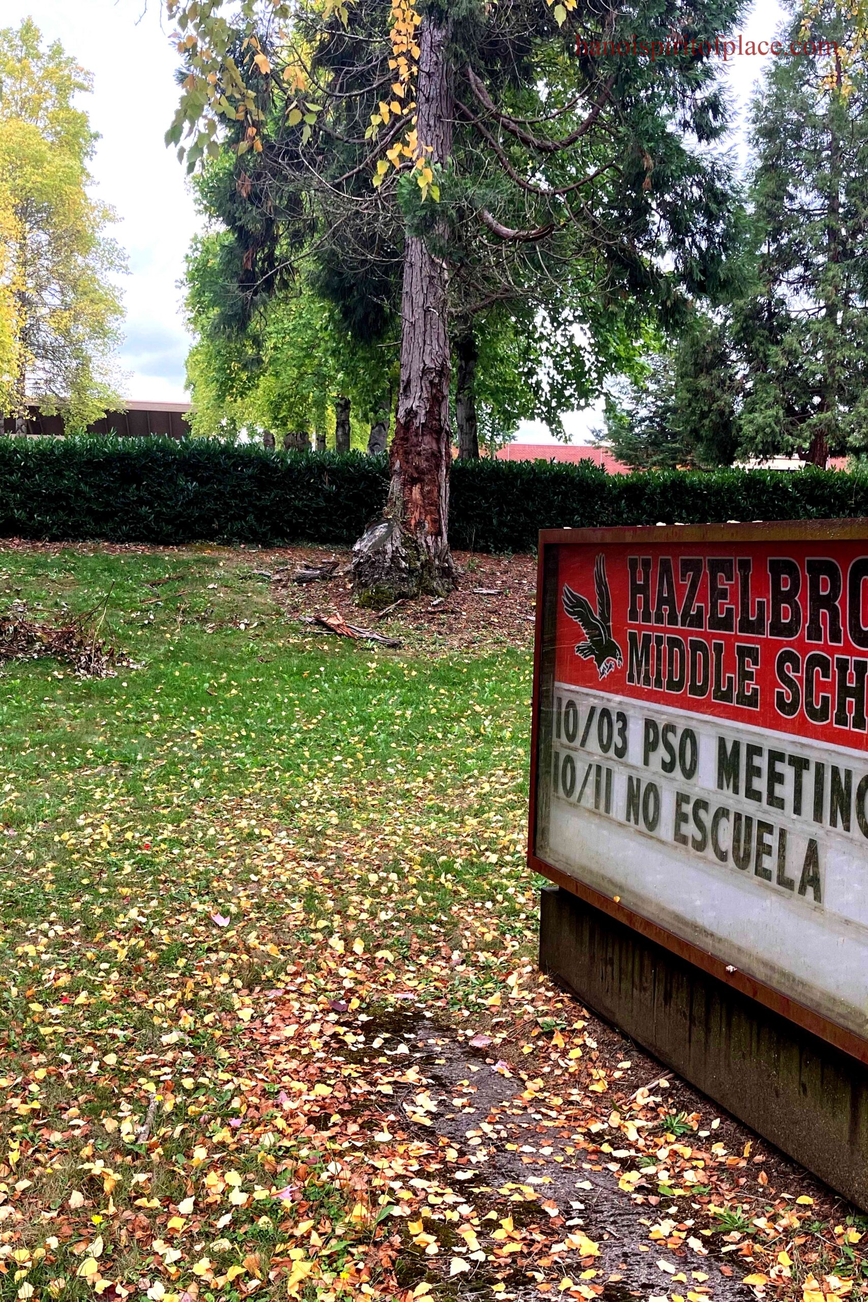 Tualatin Middle School Fight Video – Disturbing Incident