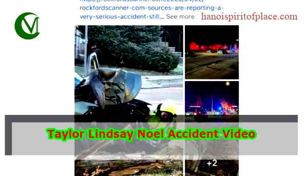 Shocking Visuals of Wood Chipper Machine Incident Görsel