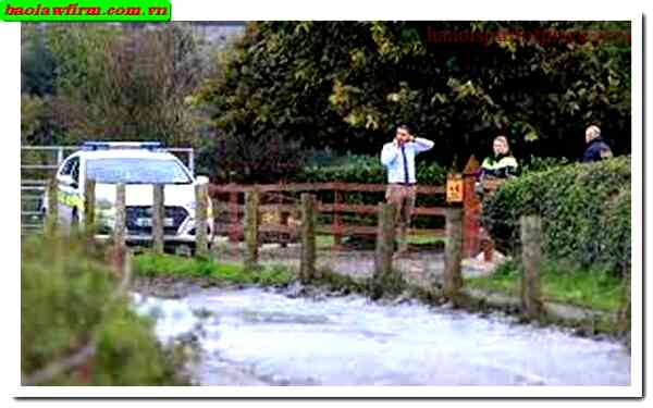 Captivating ‘Video of Incident in Tullamore Today’ – Unveiling the Real