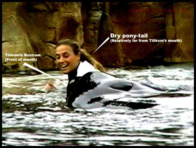 Dawn Brancheau Ponytail Video Viral – Extraordinary Footage