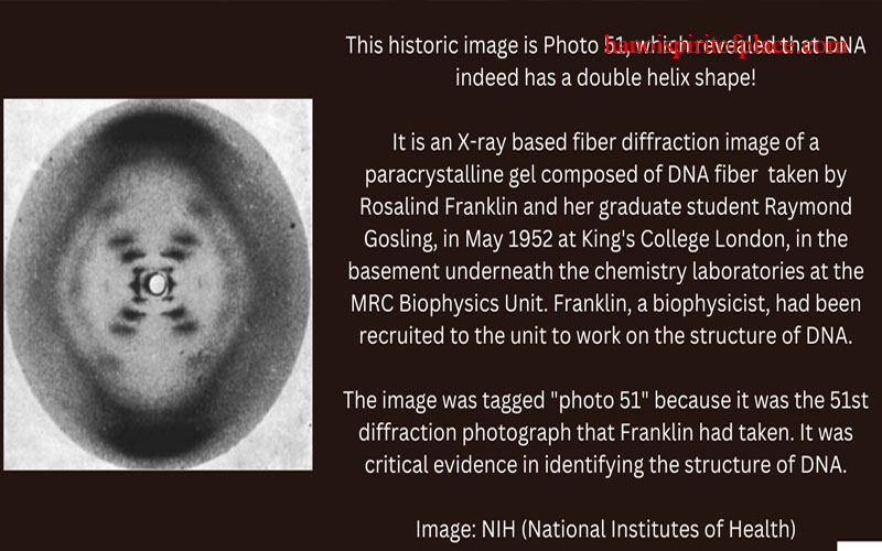 foto NR 51 Rosalind Franklin