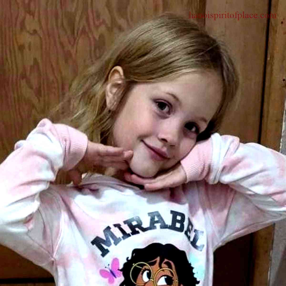 Urgent Update – Help Find 7-year-old Waseca Girl is Missing