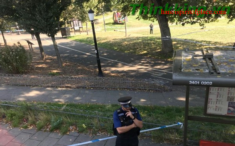 Kelvin Grove stabbing