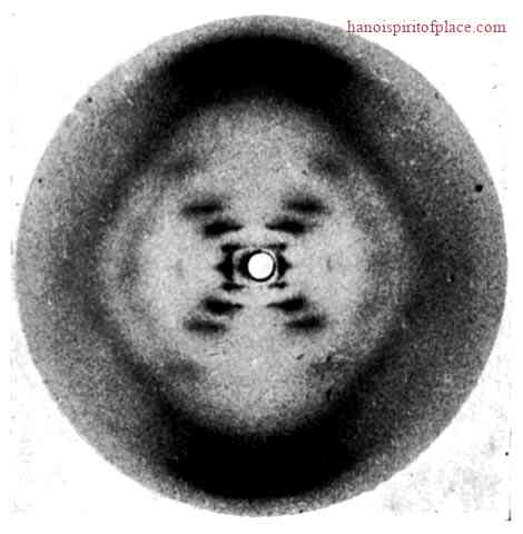 Foto NR 51 Rosalind Franklin – La Imagen Impactante