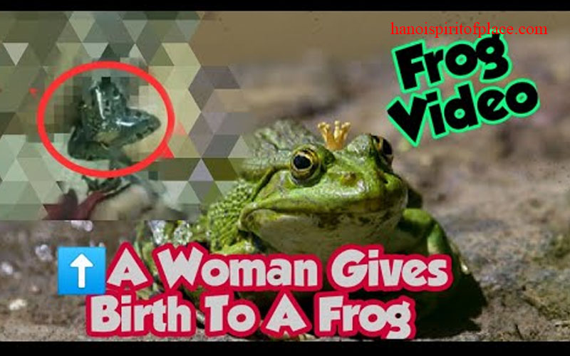 Frog Video Woman