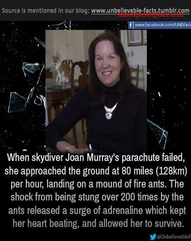 Joan Murray skydiver accident