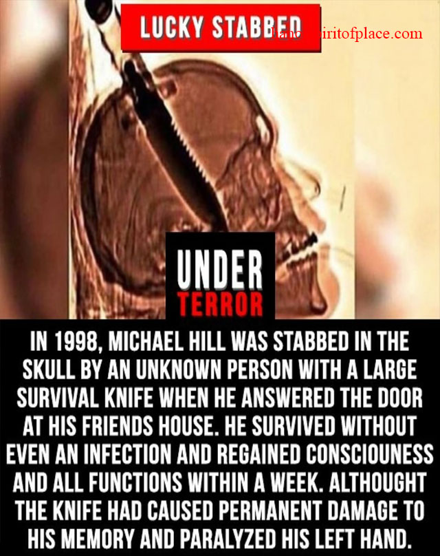 Michael Hill stabbing