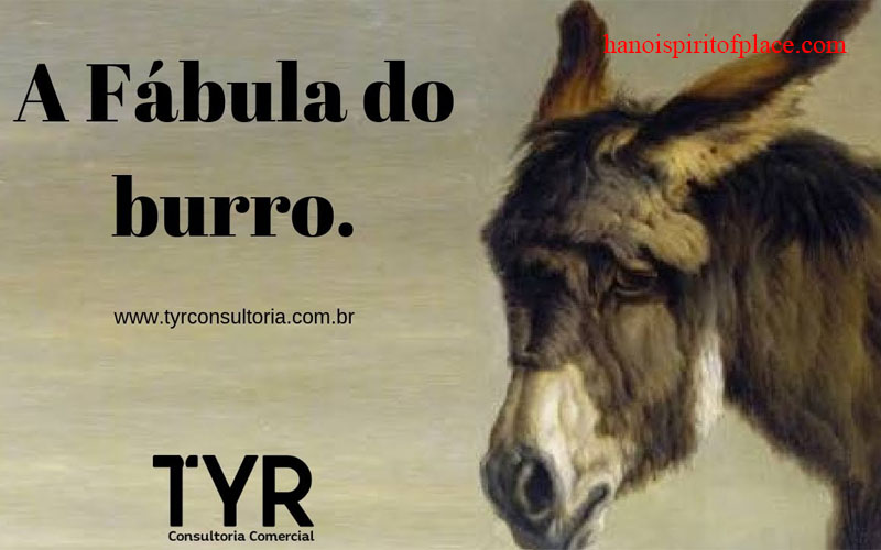 O Coraão É Do Outro Lado Burro Portal Zacarias