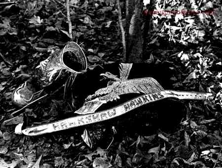 Revisiting the Tragic Photos of Patsy Cline Plane Crash